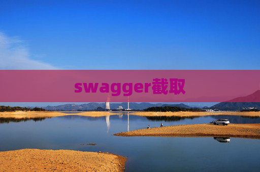 swagger截取
